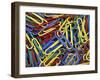 Paperclips, Washington, USA-null-Framed Photographic Print