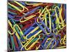 Paperclips, Washington, USA-null-Mounted Photographic Print