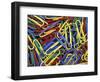 Paperclips, Washington, USA-null-Framed Photographic Print