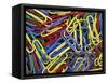 Paperclips, Washington, USA-null-Framed Stretched Canvas