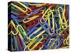 Paperclips, Washington, USA-null-Stretched Canvas