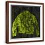 Brown Frame