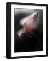 Papery-Ursula Abresch-Framed Photographic Print