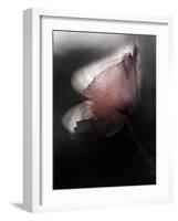 Papery-Ursula Abresch-Framed Photographic Print