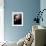 Papery-Ursula Abresch-Framed Photographic Print displayed on a wall