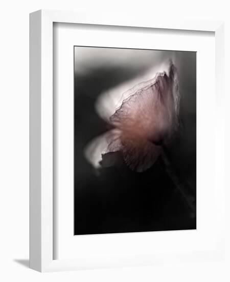 Papery-Ursula Abresch-Framed Photographic Print