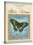 Papilio Blumei-Gregory Gorham-Stretched Canvas