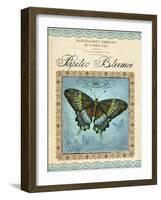 Papilio Blumei-Gregory Gorham-Framed Art Print