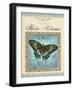 Papilio Blumei-Gregory Gorham-Framed Art Print