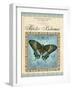 Papilio Blumei-Gregory Gorham-Framed Art Print