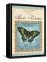 Papilio Blumei-Gregory Gorham-Framed Stretched Canvas
