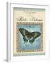 Papilio Blumei-Gregory Gorham-Framed Art Print