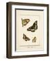 Papilio Collectio-The Vintage Collection-Framed Art Print