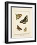 Papilio Collectio-The Vintage Collection-Framed Art Print