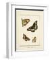 Papilio Collectio-The Vintage Collection-Framed Art Print