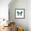 Papilio Montrouzieri Butterfly-Dr. Keith Wheeler-Framed Premium Photographic Print displayed on a wall