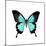 Papilio Montrouzieri Butterfly-Dr. Keith Wheeler-Mounted Premium Photographic Print
