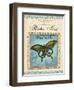 Papilio Paris-Gregory Gorham-Framed Art Print