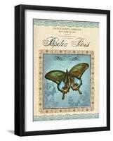 Papilio Paris-Gregory Gorham-Framed Art Print