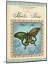 Papilio Paris-Gregory Gorham-Mounted Art Print