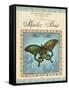 Papilio Paris-Gregory Gorham-Framed Stretched Canvas