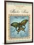 Papilio Paris-Gregory Gorham-Framed Art Print