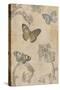 Papillion Decoratif II-Deborah Devellier-Stretched Canvas