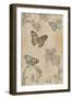 Papillion Decoratif II-Deborah Devellier-Framed Art Print