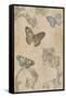 Papillion Decoratif II-Deborah Devellier-Framed Stretched Canvas