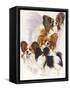 Papillion-Barbara Keith-Framed Stretched Canvas