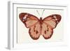 Papillon 3-Stellar Design Studio-Framed Art Print