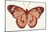 Papillon 3-Stellar Design Studio-Mounted Art Print