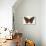 Papillon 4-Stellar Design Studio-Art Print displayed on a wall