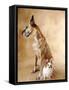 Papillon and Great Dane-Don Mason-Framed Stretched Canvas
