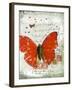 Papillon I-Ken Hurd-Framed Giclee Print