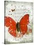 Papillon I-Ken Hurd-Stretched Canvas