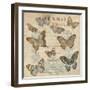 Papillon I-Deborah Devellier-Framed Art Print