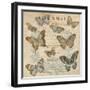 Papillon I-Deborah Devellier-Framed Art Print