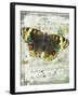 Papillon II-Ken Hurd-Framed Giclee Print