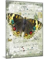 Papillon II-Ken Hurd-Mounted Giclee Print