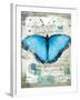 Papillon III-Ken Hurd-Framed Giclee Print