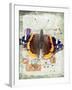 Papillon IV-Ken Hurd-Framed Giclee Print