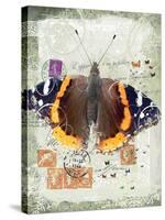 Papillon IV-Ken Hurd-Stretched Canvas