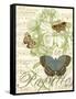 Papillon Melange I-null-Framed Stretched Canvas