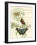 Papillon Melange II-null-Framed Art Print