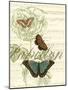 Papillon Melange II-null-Mounted Art Print