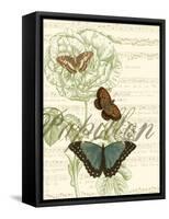 Papillon Melange II-null-Framed Stretched Canvas