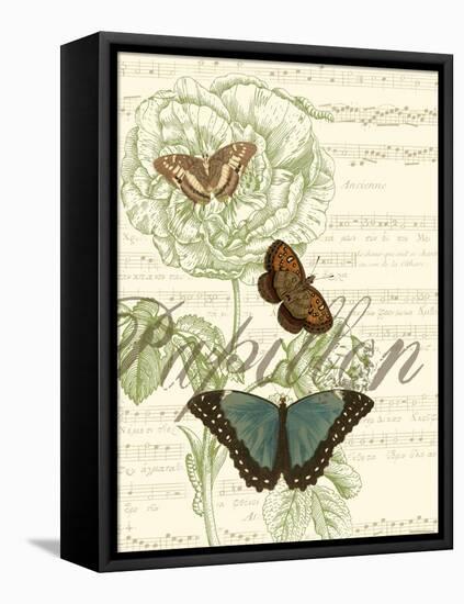 Papillon Melange II-null-Framed Stretched Canvas