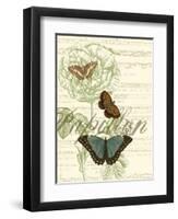 Papillon Melange II-null-Framed Art Print