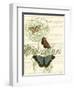 Papillon Melange II-null-Framed Art Print